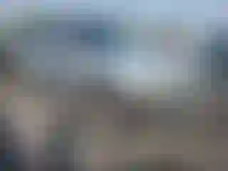 Vehicle Image- 2003 Nissan Xterra