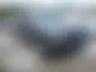 Vehicle Image- 2004 Nissan Xterra
