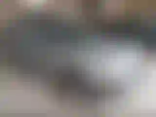 Vehicle Image- 2002 Nissan Xterra