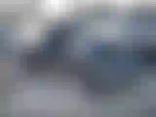 Vehicle Image- 2001 Nissan Xterra