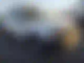 Vehicle Image- 2002 Nissan Xterra