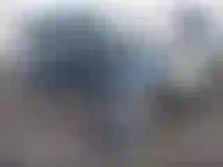 Vehicle Image- 2000 Nissan Xterra