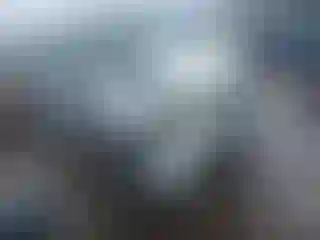 Vehicle Image- 2004 Nissan Xterra