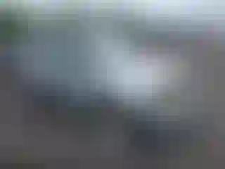 Vehicle Image- 2001 Nissan Xterra
