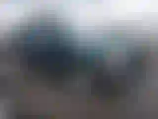 Vehicle Image- 2002 Nissan Xterra