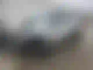 Vehicle Image- 2004 Nissan Xterra