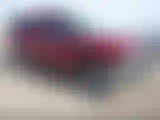 Vehicle Image- 2004 Nissan Xterra