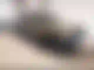 Vehicle Image- 2002 Nissan Xterra