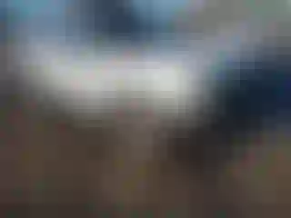 Vehicle Image- 2002 Nissan Xterra