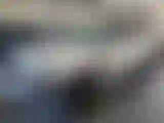 Vehicle Image- 2004 Nissan Xterra