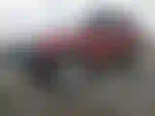 Vehicle Image- 2004 Nissan Xterra