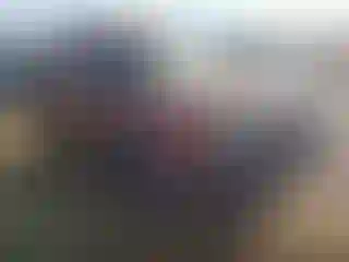 Vehicle Image- 2002 Nissan Xterra