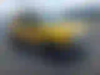 Vehicle Image- 2002 Nissan Xterra