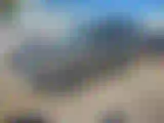 Vehicle Image- 2002 Nissan Xterra