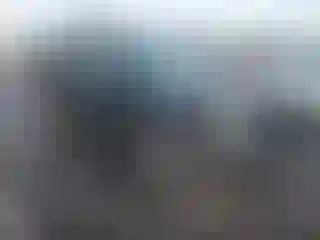 Vehicle Image- 2002 Nissan Xterra