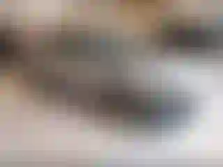 Vehicle Image- 2022 Hyundai Tucson