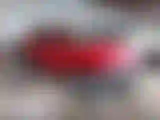 Vehicle Image- 2022 Hyundai Tucson