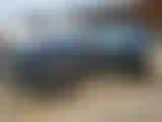 Vehicle Image- 2022 Hyundai Tucson