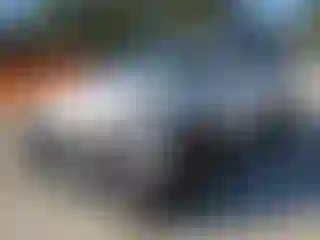 Vehicle Image- 2025 Hyundai Tucson