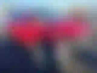 Vehicle Image- 2023 Hyundai Tucson