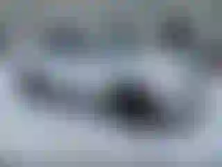 Vehicle Image- 2023 Hyundai Tucson