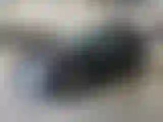 Vehicle Image- 2024 Hyundai Tucson