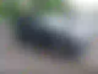 Vehicle Image- 2024 Hyundai Tucson