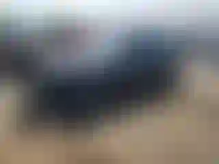 Vehicle Image- 2023 Hyundai Tucson