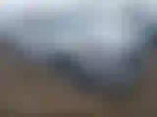 Vehicle Image- 2019 Hyundai Santa