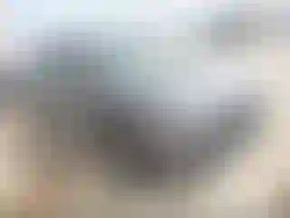 Vehicle Image- 2019 Hyundai Santa