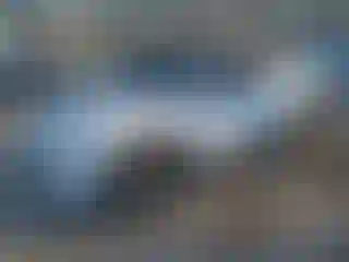 Vehicle Image- 2023 Hyundai Santa