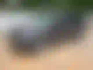 Vehicle Image- 2020 Hyundai Santa