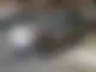 Vehicle Image- 2007 Hyundai Santa