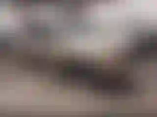 Vehicle Image- 2007 Hyundai Santa