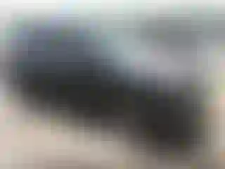 Vehicle Image- 2017 Hyundai Santa