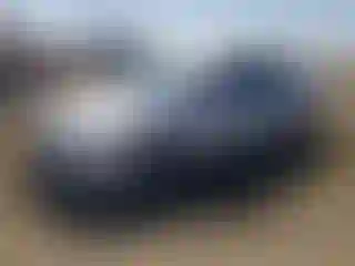 Vehicle Image- 2017 Hyundai Elantra