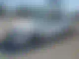 Vehicle Image- 2019 Hyundai Elantra
