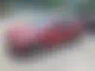 Vehicle Image- 2017 Hyundai Elantra