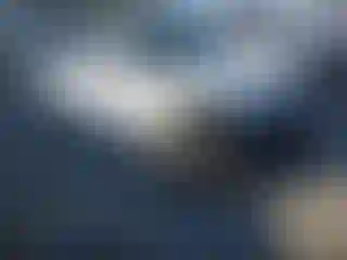 Vehicle Image- 2019 Hyundai Elantra