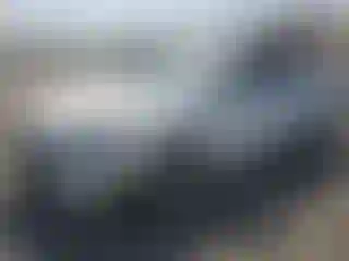 Vehicle Image- 2019 Hyundai Elantra