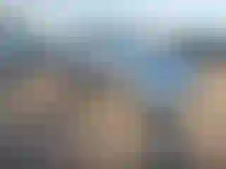 Vehicle Image- 2017 Hyundai Elantra