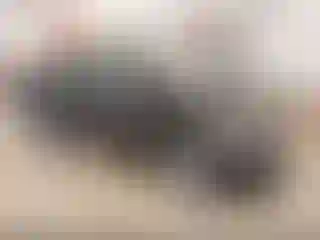 Vehicle Image- 2017 Hyundai Elantra