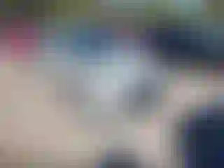 Vehicle Image- 2017 Hyundai Elantra