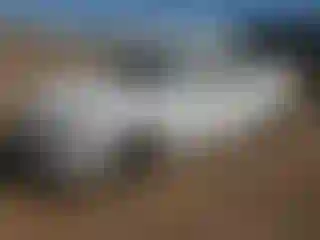 Vehicle Image- 2020 Hyundai Elantra