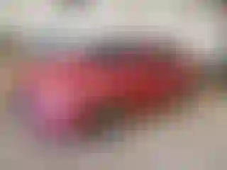 Vehicle Image- 2017 Hyundai Elantra