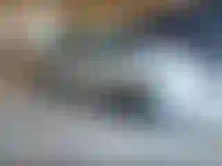 Vehicle Image- 2017 Hyundai Elantra