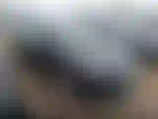 Vehicle Image- 2017 Hyundai Elantra