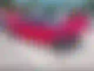 Vehicle Image- 2017 Hyundai Elantra