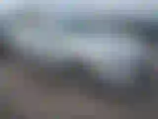 Vehicle Image- 2019 Hyundai Elantra