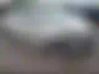 Vehicle Image- 2017 Hyundai Elantra